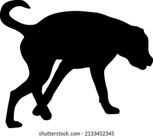 Labrador dog black silhouette on white background.