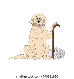 Labrador Dog Breed