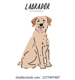 Labrador Dog breed Hand drawn Color Illustration