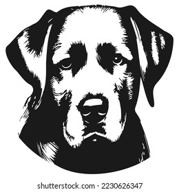 labrador dog images hand drawn vector black and white
