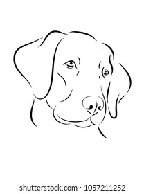 Labrador dog line art, minimalistic tribal. Freehand vector illustration. Print for POD sites and coloring books.