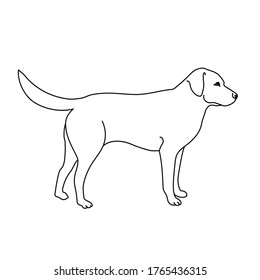 Labrador dog line drawing. Minimalistic style for logo, icons, emblems, template, badges. Isolated on white background.