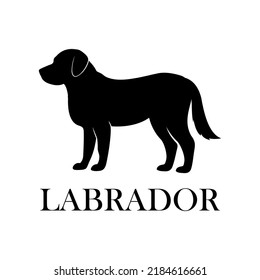 Labrador dog logo silhouette vector template