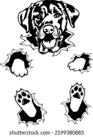 LABRADOR DOG RIPPED SHIRT Dog owner pet lover EPS
