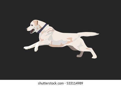 El perro Labrador está corriendo. Ilustración vectorial de perro. Labrador con cuello aislado.