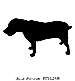 labrador dog silhouette isolated on white background vector illustration