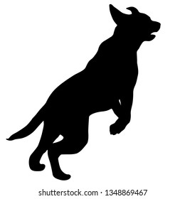 Labrador dog silhouette on a white background