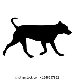Labrador dog silhouette on a white background