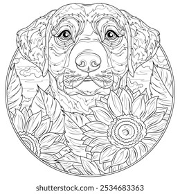 Labrador cão e girassóis.Colorir livro antistress para crianças e adultos. 