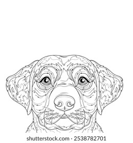 Labrador dog.Coloring livro antistress para crianças e adultos. Ilustração isolada em fundo branco. Desenho da mão