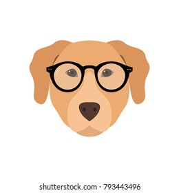 Labrador in glasses. Cute dog vector illustration.