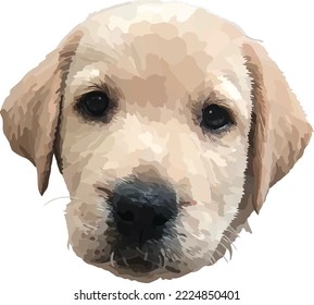 Labrador Guide Dog Puppy Illustrated Vector