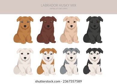 Labrador Husky mix clipart. Labrador Retriever Siberian Husky mix. Different coat colors set.  Vector illustration