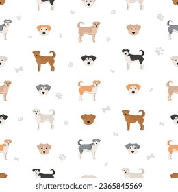 Labrador Husky mix seamless pattern. Labrador Retriever Siberian Husky mix. Different coat colors set.  Vector illustration