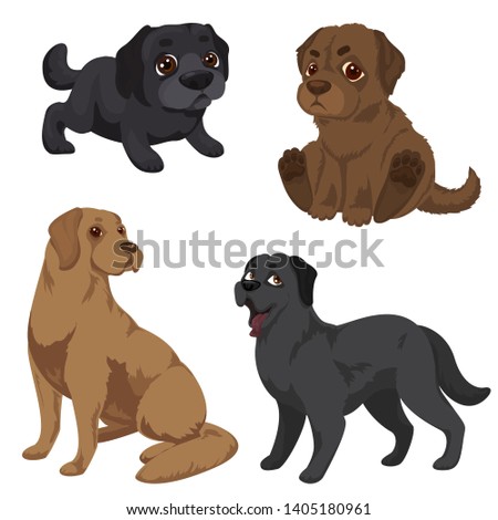Labrador icons set. Cartoon set of labrador vector icons for web design
