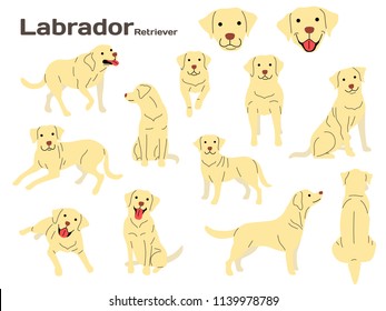 labrador illustration,dog poses,dog breed