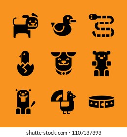 labrador, isolated, male and cartoon icon set. Vector illustration for web and design.