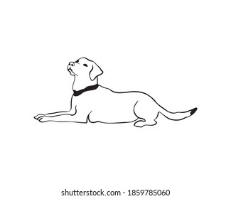 Labrador laying dog in doodle style. Vector line drawn stock illustration of Labrador 