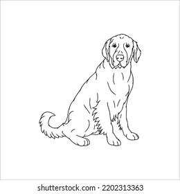 Labrador Line Art, Labrador Line Drawing, Labrador Outline Drawing,Labrador Illustrations