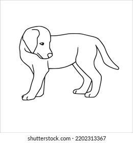 Labrador Line Art, Labrador Line Drawing, Labrador Outline Drawing,Labrador Illustrations