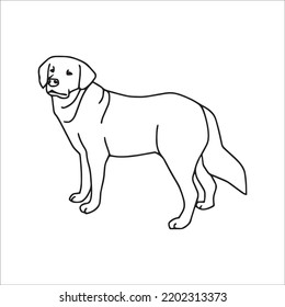 Labrador Line Art, Labrador Line Drawing, Labrador Outline Drawing,Labrador Illustrations