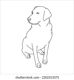 Labrador Line Art, Labrador Line Drawing, Labrador Outline Drawing,Labrador Illustrations