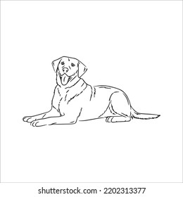 Labrador Line Art, Labrador Line Drawing, Labrador Outline Drawing,Labrador Illustrations