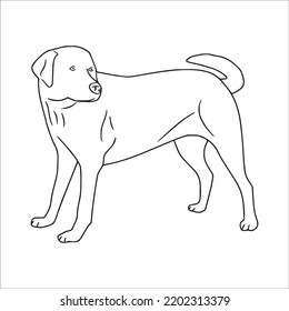 4,360 Line Drawing Labrador Images, Stock Photos & Vectors | Shutterstock