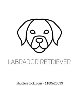  Labrador linear face icon.  Isolated outline dog head vector 
