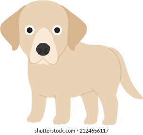 The Labrador is loyal, obedient and playful as a sporting and hunting dog, but is widely kept as a companion dog. It may also be trained as a guide or assistance dog, or for rescue.