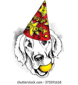 Labrador portrait in a party hat with ball. Vector illustration.