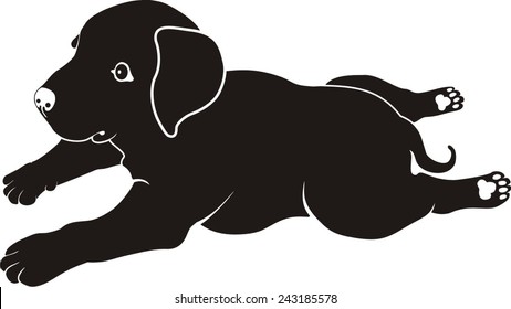 Labrador puppy, black dog. Vector.