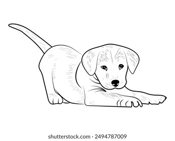 Labrador Perro cachorro para colorear página o libro para niños. Cachorro de labrador delineado Ilustración vectorial