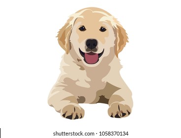 Labrador vectorial 