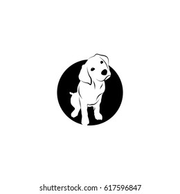 Labrador puppy vector illustration