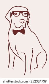 labrador retriever