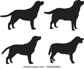 Labrador Retriever 3 Dog Svg Vector File svg