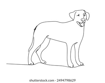 Labrador Retriever breed, companion dog, hunting dog one line art. Continuous line drawing of friend, dog, doggy, friendship, care, pet, animal, family, canine.