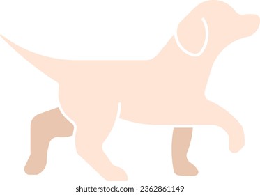 Labrador Retriever canidae golden retriever dog animal