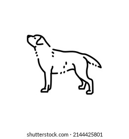 Labrador retriever color line icon. Dog breed. Pictogram for web page, mobile app, promo.