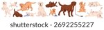Labrador retriever in different poses set. Cute dogs with yellow and chocolate colors relax, sleep, have fun and play with toys. Funny puppies. Happy pets. Flat isolated vector illustrations on white