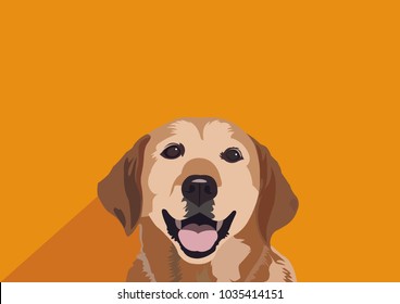 Labrador retriever dog