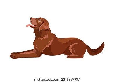 Labrador Retriever Dog Breed with Brown Coat Sitting Vector Illustration