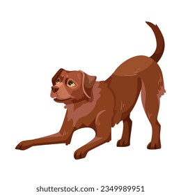 Labrador Retriever Dog Breed with Brown Coat Vector Illustration