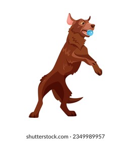 Labrador Retriever Dog Breed with Brown Coat Catching Ball Vector Illustration