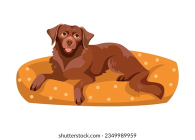 Labrador Retriever Dog Breed with Brown Coat Lying on Cushion Vector Illustration