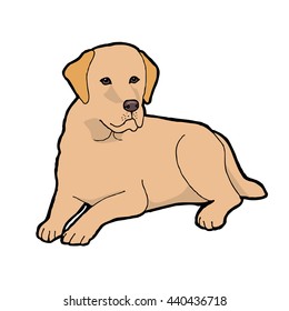 Labrador Retriever  dog breed. Outline with color background. Vector illustration.