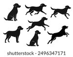 Labrador Retriever Dog collection silhouette black vector on white background