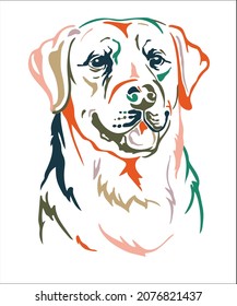 Labrador retriever dog color contour portrait. Dog head in front view vector illustration isolated on white. For decor, design, print, poster, postcard, sticker, t-shirt, cricut, tattoo and embroidery