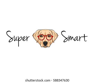 Labrador, Retriever dog face in glasses. Super smart. Vector illustration isolated on white background